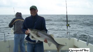 Chesapeake Bay Trophy Rockfish #10