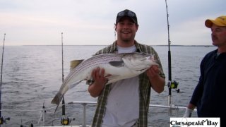 Chesapeake Bay Trophy Rockfish 2 #10