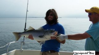 Chesapeake Bay Trophy Rockfish 2 #15