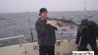 Chesapeake Bay Trophy Rockfish 4 #7