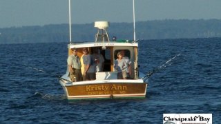 Chesapeake Bay Bay Scenery 2 #41