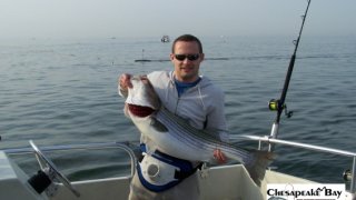 Chesapeake Bay Trophy Rockfish #28