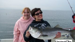 Chesapeake Bay Trophy Rockfish 2 #13
