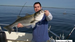 Chesapeake Bay Trophy Rockfish 3 #26