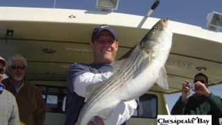 Chesapeake Bay Trophy Rockfish 2 #26