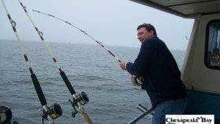 Chesapeake Bay Action Shots #25