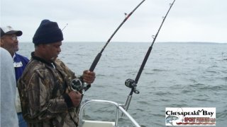 Chesapeake Bay Action Shots #17