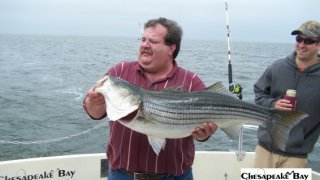 Chesapeake Bay Trophy Rockfish 3 #21