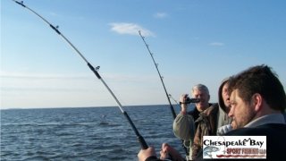 Chesapeake Bay Action Shots #2