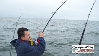Chesapeake Bay Action Shots #16