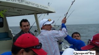 Chesapeake Bay Action Shots #28
