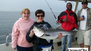 Chesapeake Bay Trophy Rockfish 2 #14