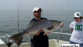 Chesapeake Bay Trophy Rockfish 2 #24
