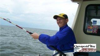 Chesapeake Bay Action Shots #8
