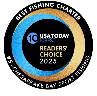 USA Today 10Best Readers' Choice 2025 award badge