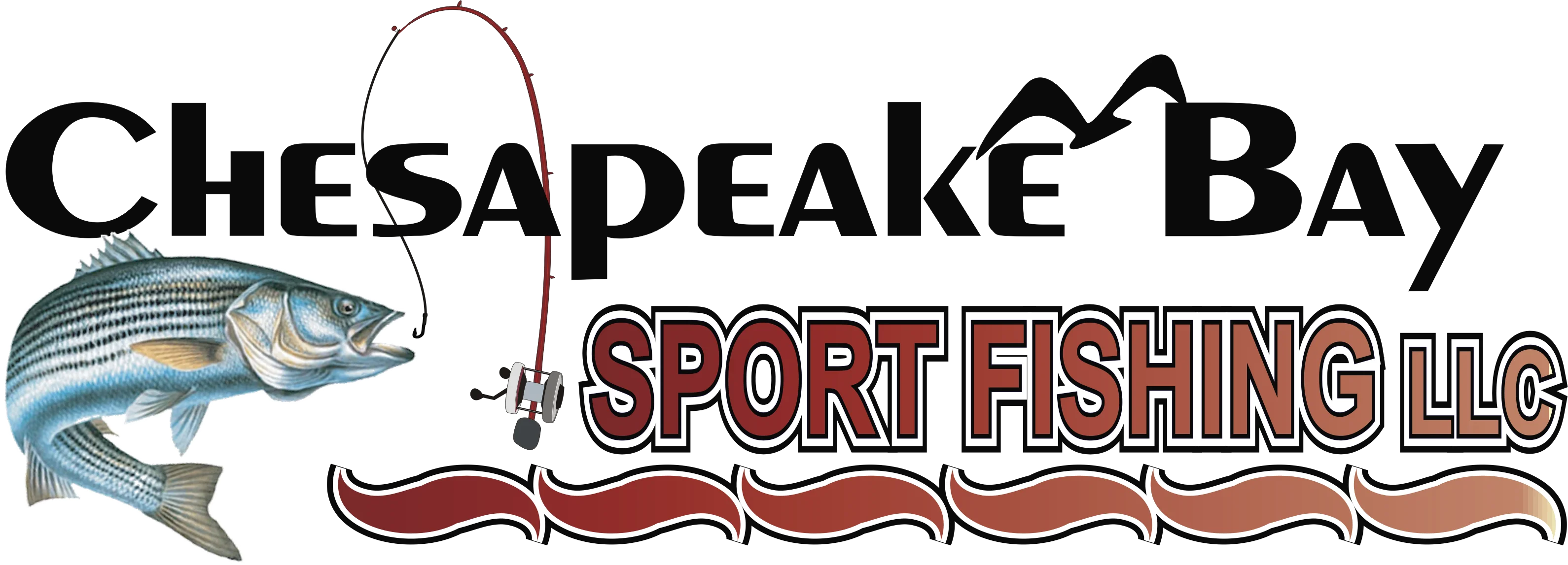 Chesapeake Bay Sport Fishing