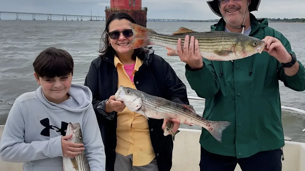 Anglers with rockfish on a private Chesapeake Bay charter