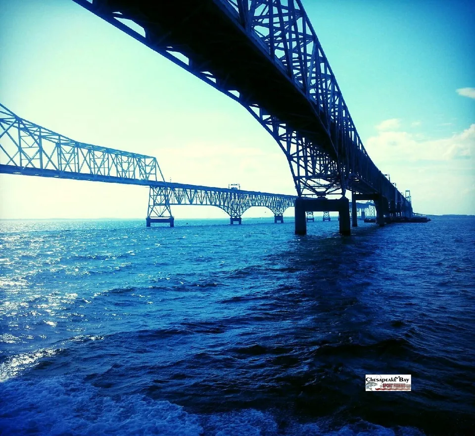 Bay Scenery photo
