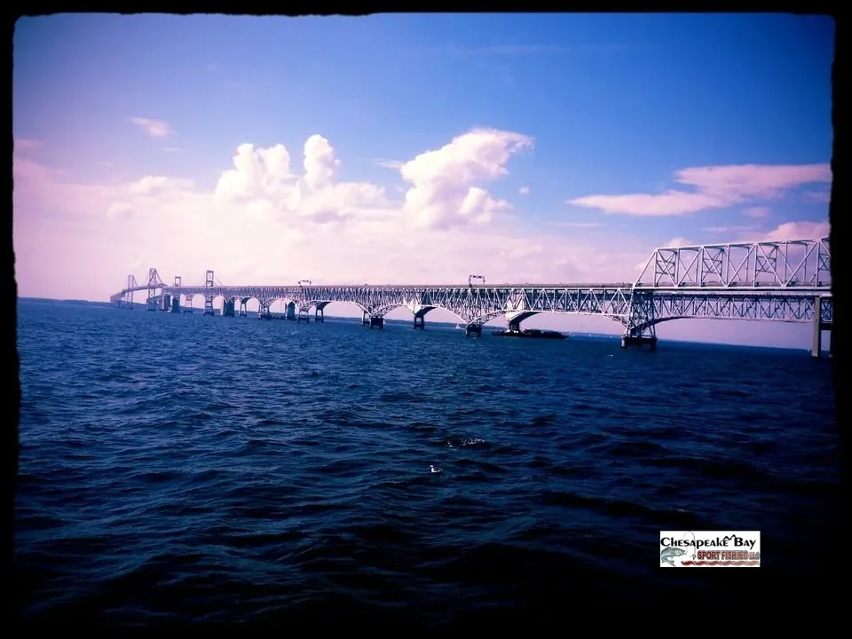 Bay Scenery cover