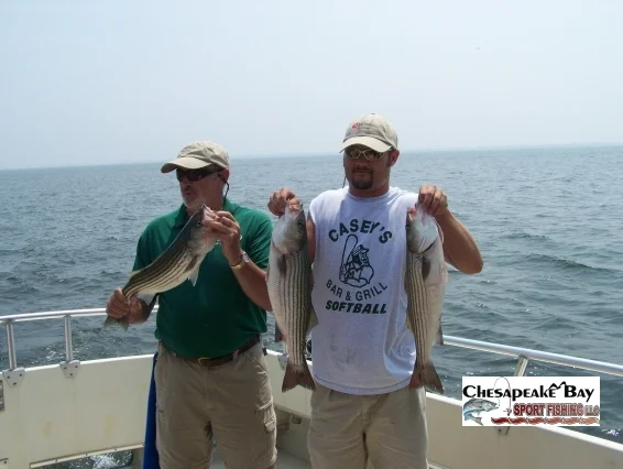 Nice Rockfish 2 cover