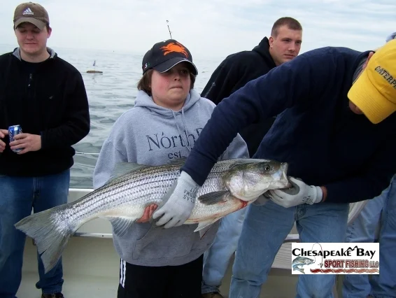 Trophy Rockfish 2 cover