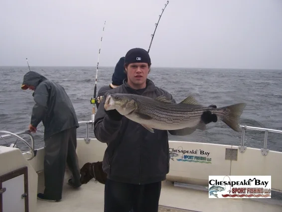 Trophy Rockfish 4 cover