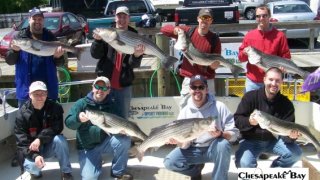 Chesapeake Bay Groups #32