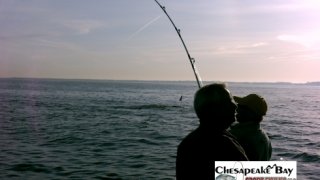 Chesapeake Bay Action Shots 2 #31