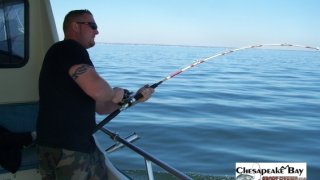 Chesapeake Bay Action Shots 2 #2