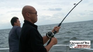 Chesapeake Bay Action Shots #7