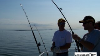 Chesapeake Bay Action Shots 2 #10
