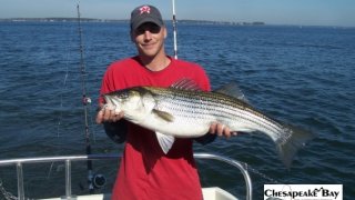 Chesapeake Bay Trophy Rockfish 4 #20