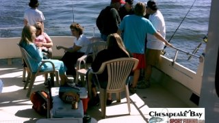 Chesapeake Bay Groups #38