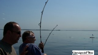 Chesapeake Bay Action Shots 2 #12
