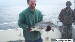 Chesapeake Bay Nice Rockfish 3 #21