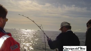 Chesapeake Bay Action Shots 2 #25