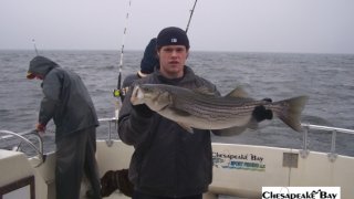 Chesapeake Bay Trophy Rockfish 4 #2