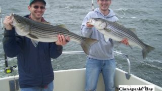 Chesapeake Bay Trophy Rockfish 4 #54