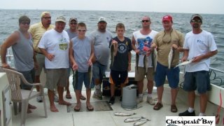 Chesapeake Bay Groups #4