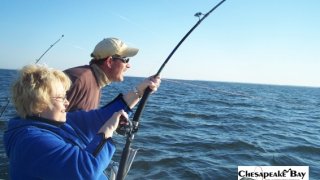Chesapeake Bay Action Shots 2 #24