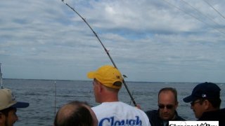 Chesapeake Bay Action Shots 2 #18
