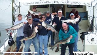 Chesapeake Bay Groups #13