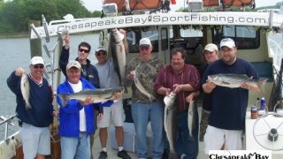 Chesapeake Bay Groups #15
