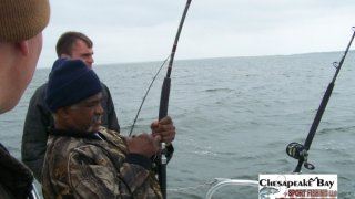 Chesapeake Bay Action Shots #18