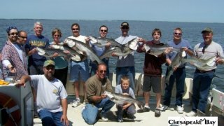 Chesapeake Bay Groups #35