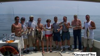 Chesapeake Bay Groups #6