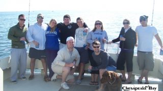 Chesapeake Bay Groups #10