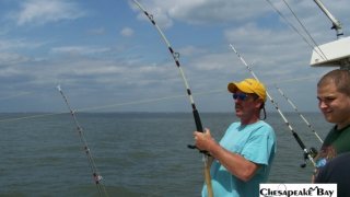 Chesapeake Bay Action Shots #32