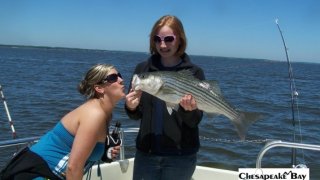 Chesapeake Bay Nice Rockfish 2 #39