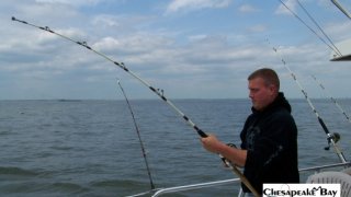 Chesapeake Bay Action Shots 2 #6